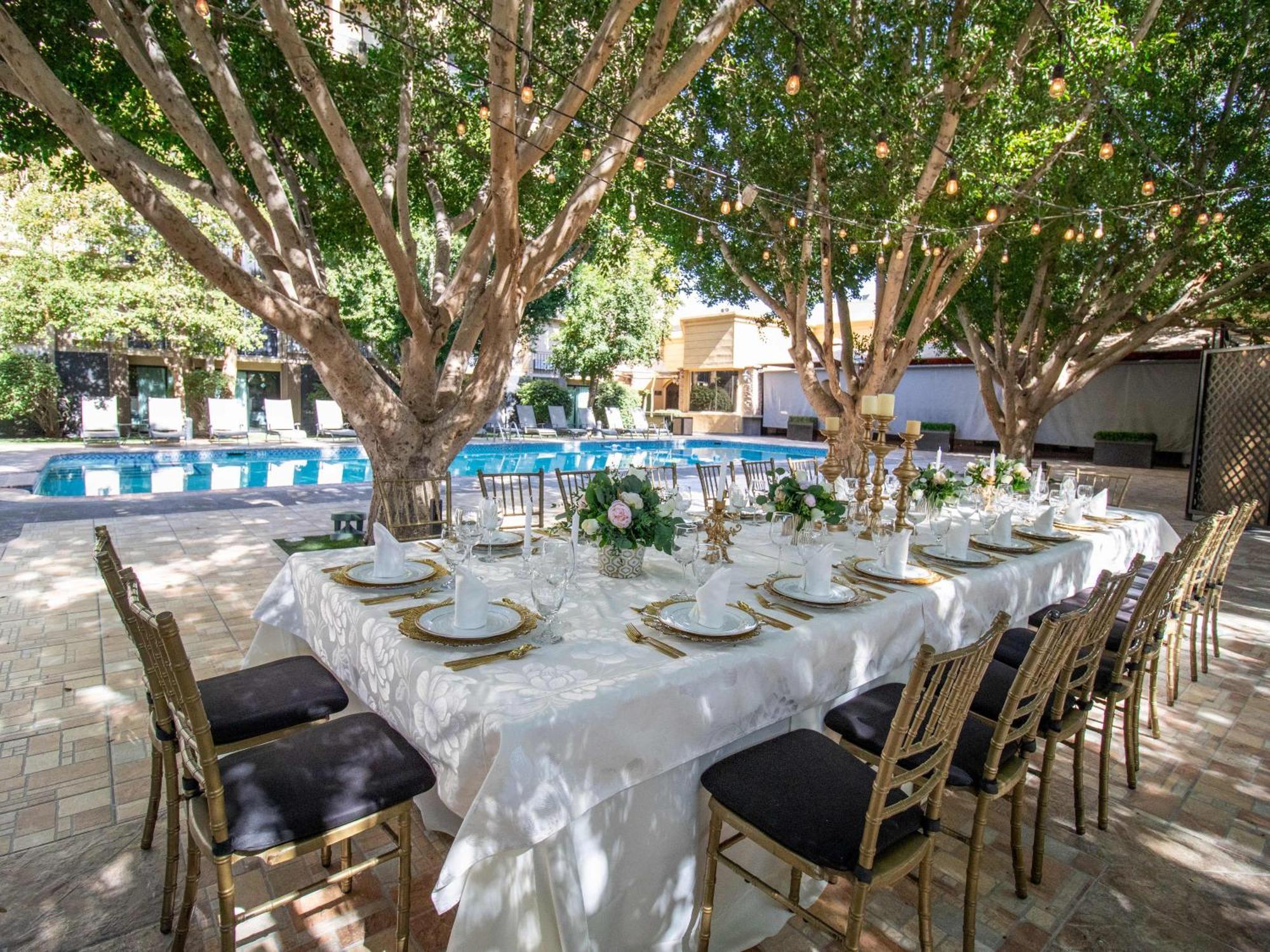 Hotel Araiza Mexicali Bagian luar foto The pool at the Beverly Hills Hotel